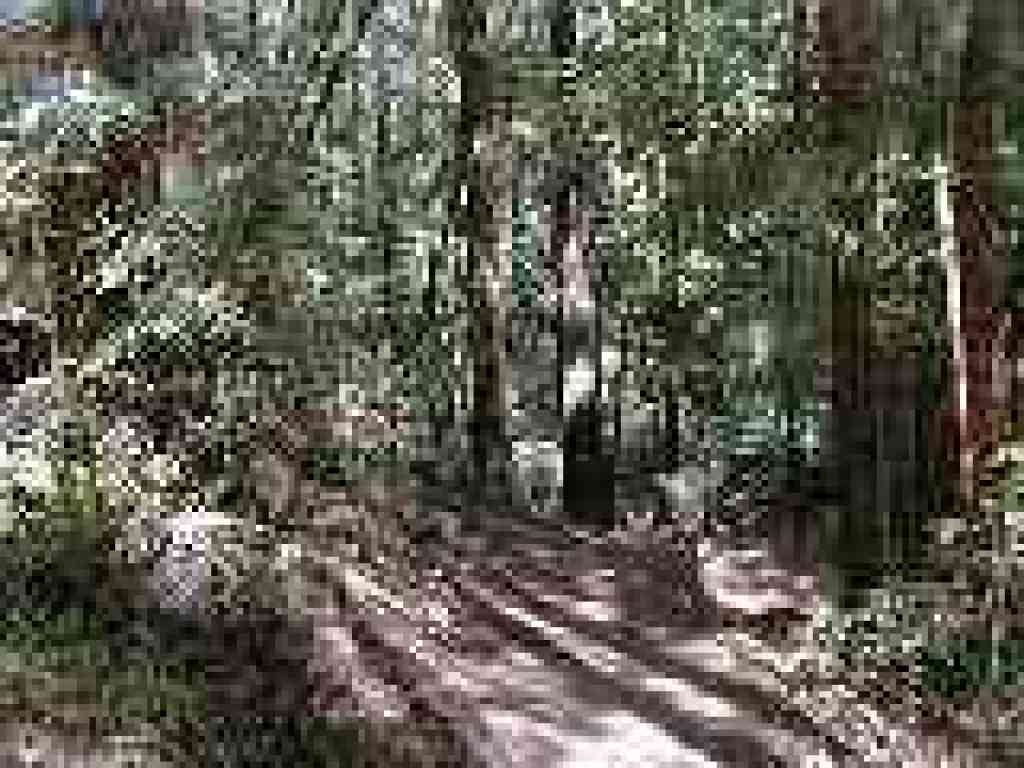 Downhill