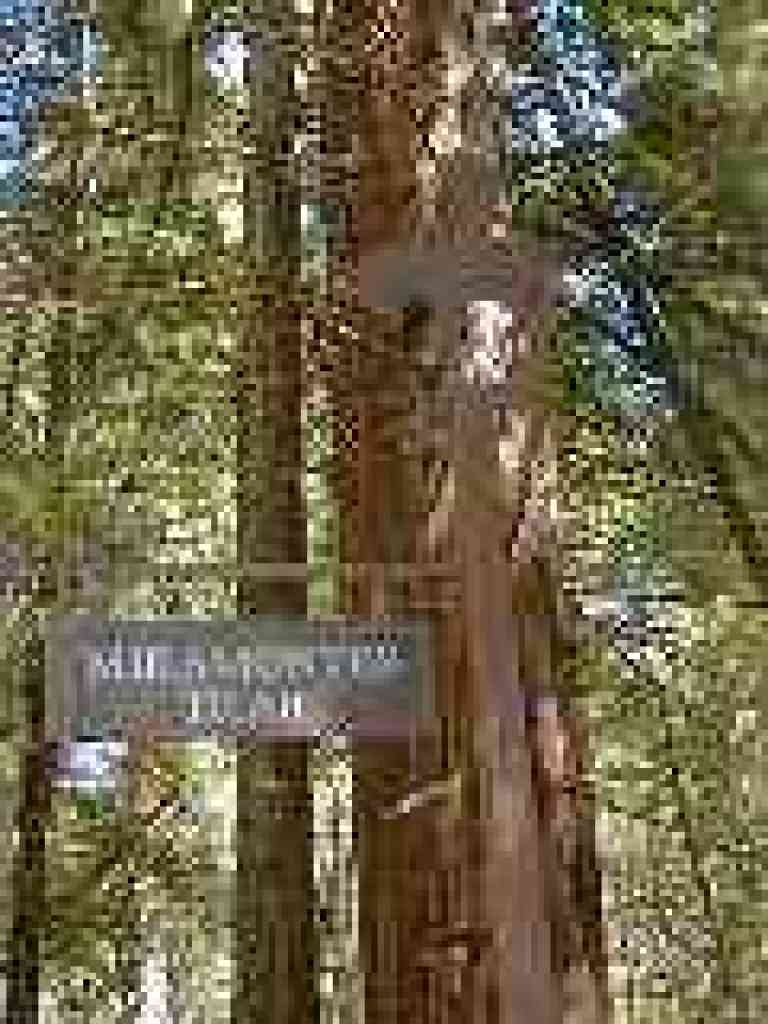 Beautiful sign