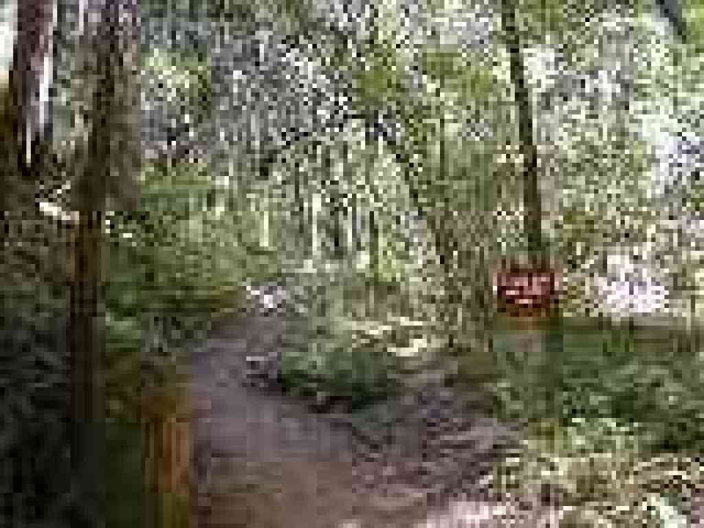 Near the end of the quietest section