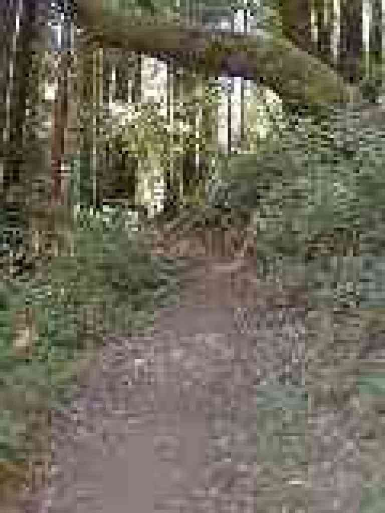 Uphill