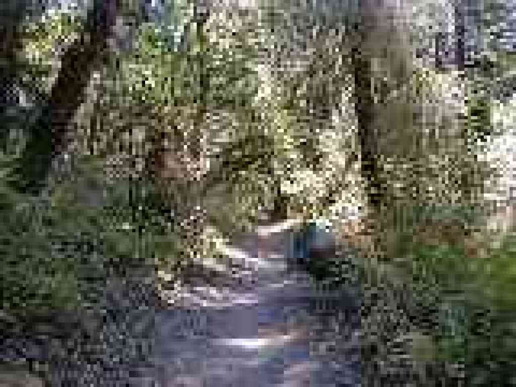Miramontes Trail