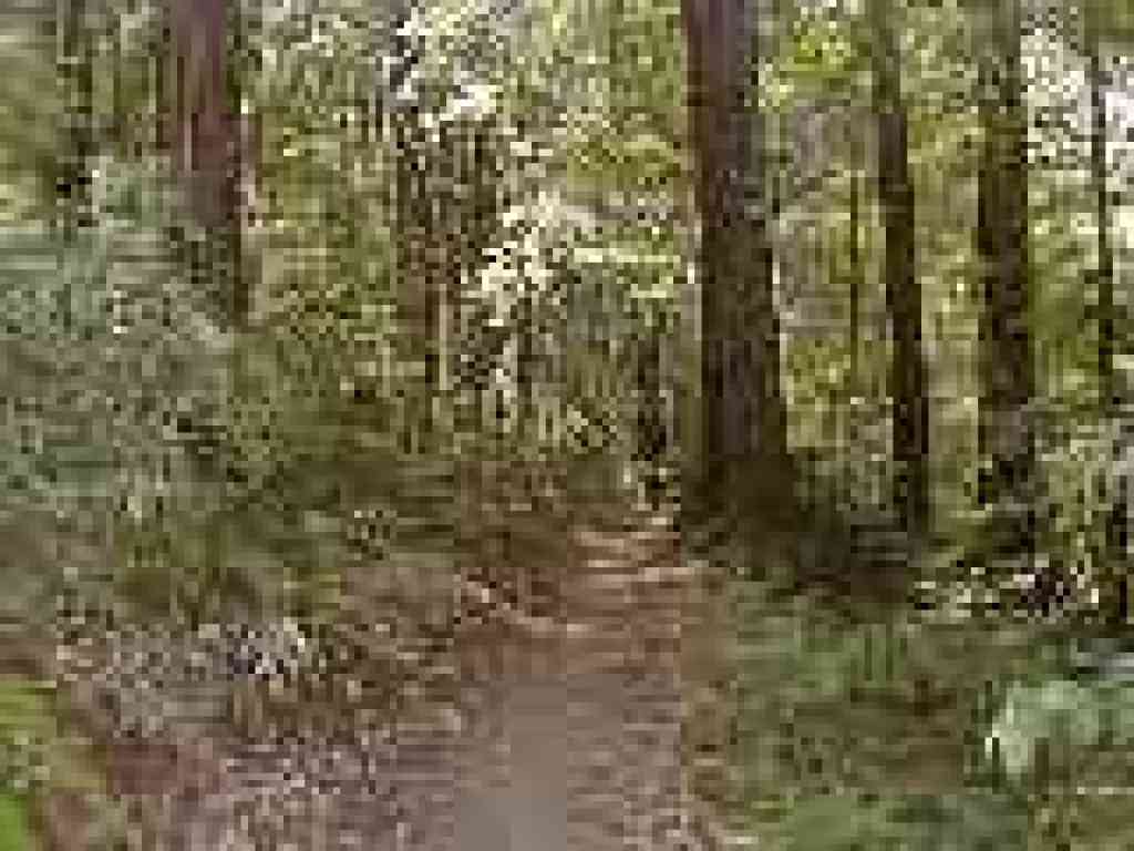 Approaching junction