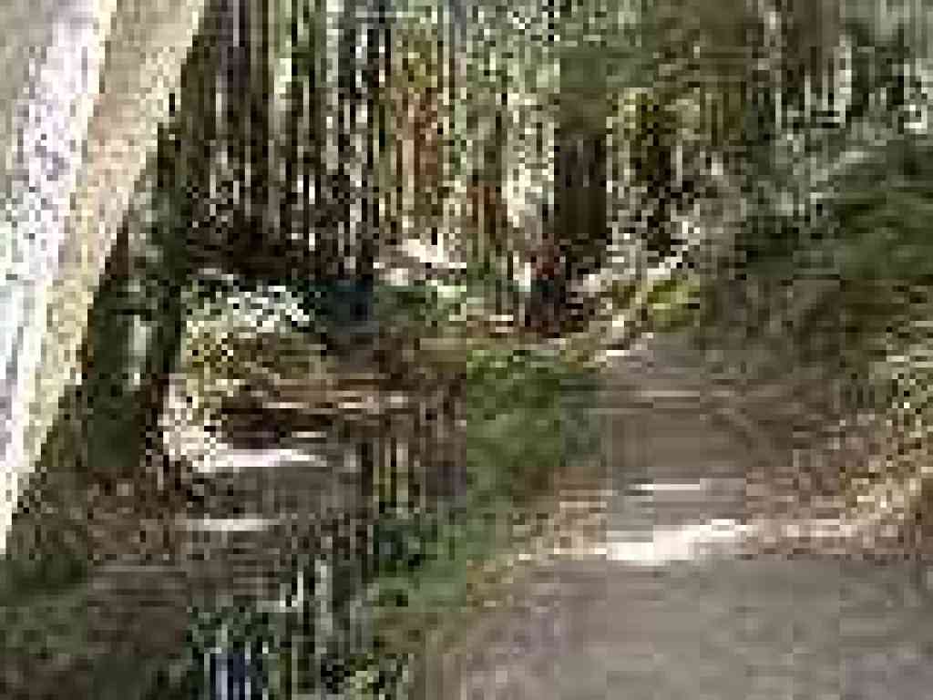 Returning along the creek