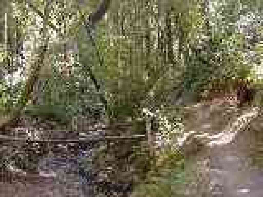 Narrow path