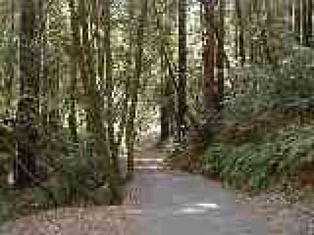 Richard's Road