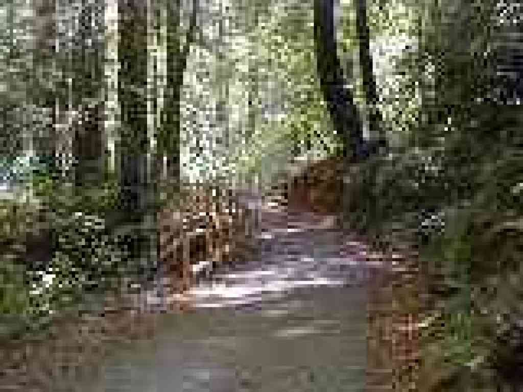 Approaching junction