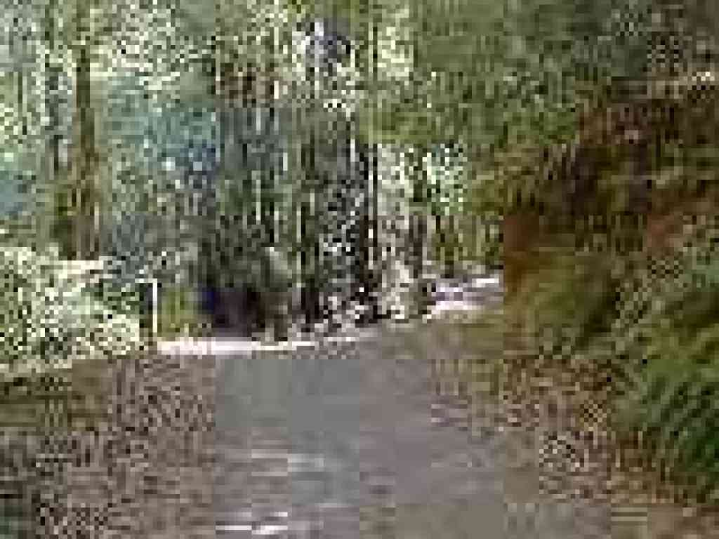 Junction