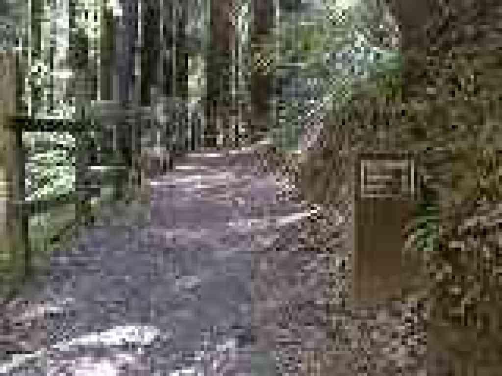 Crystal Springs Trail