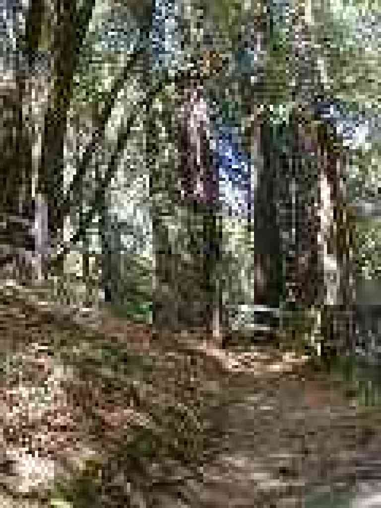 Switchbacks