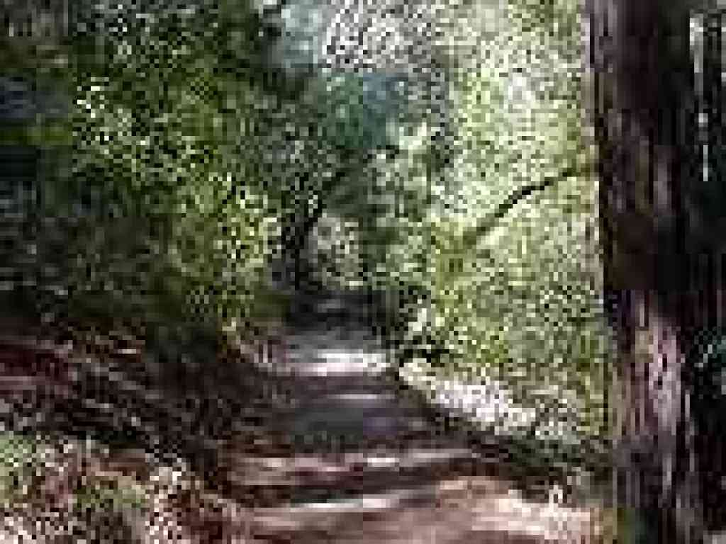 Uphill