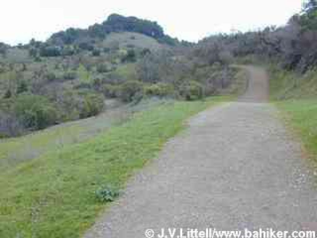 Zinfandel Trail