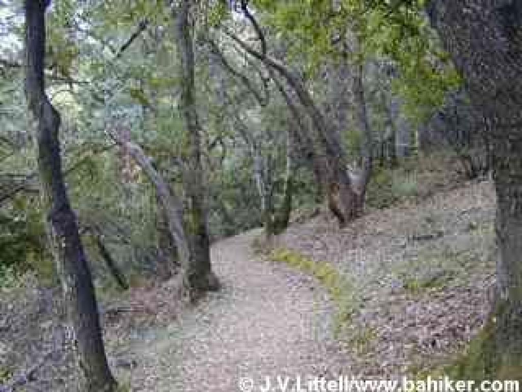 Zinfandel Trail