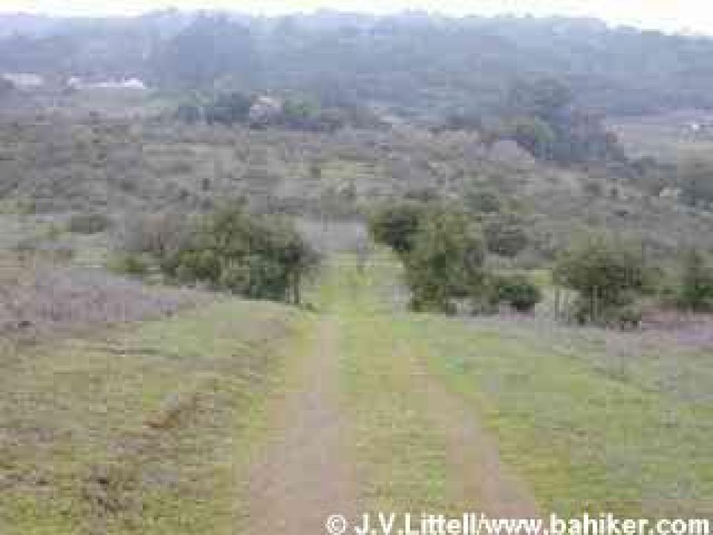 Orchard Loop Trail
