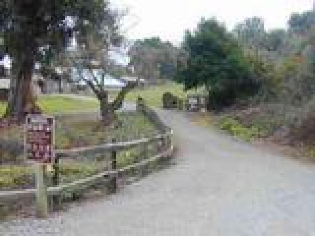 Near winery