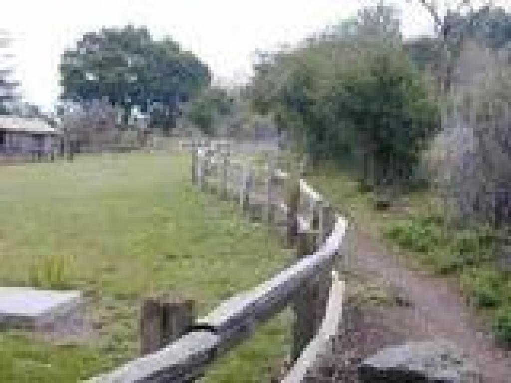 Trail