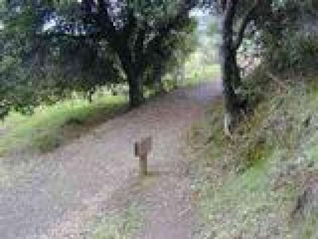 Merging into Zinfandel Trail
