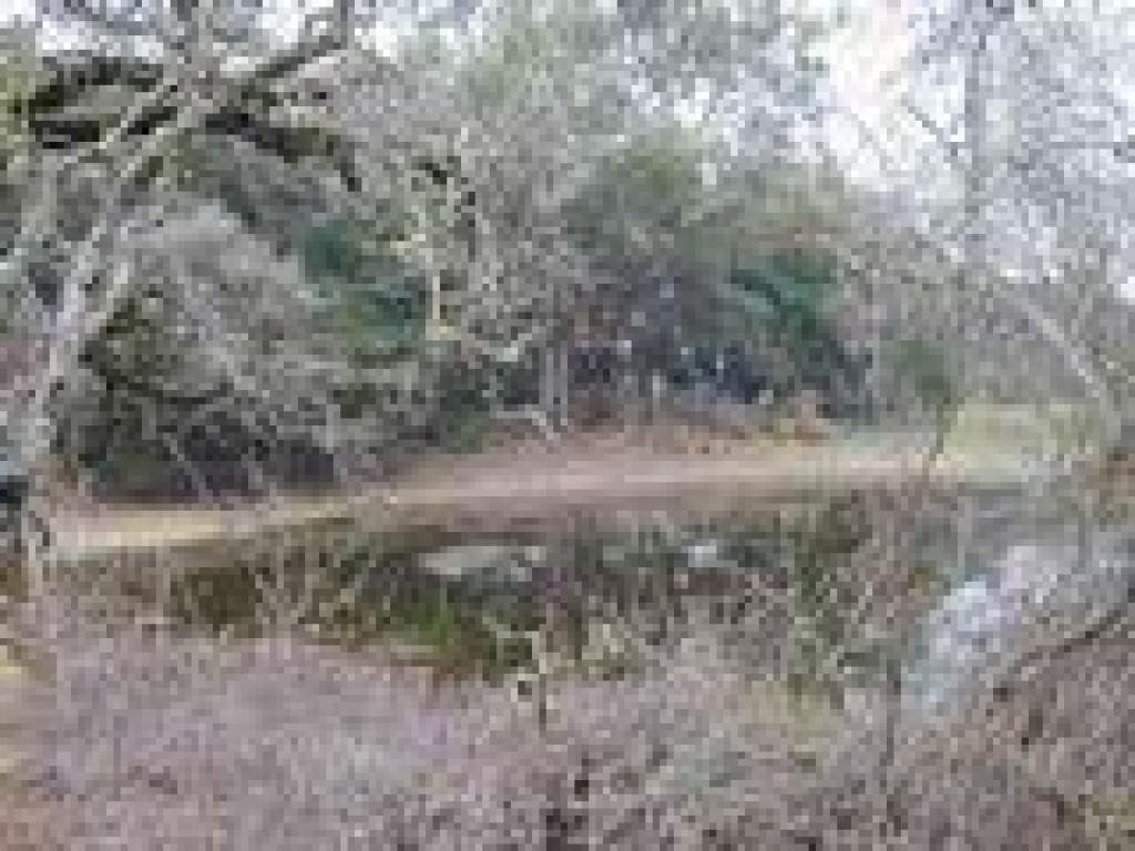 Pond