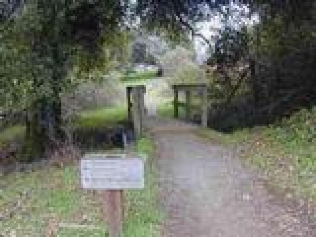 Zinfandel Trail