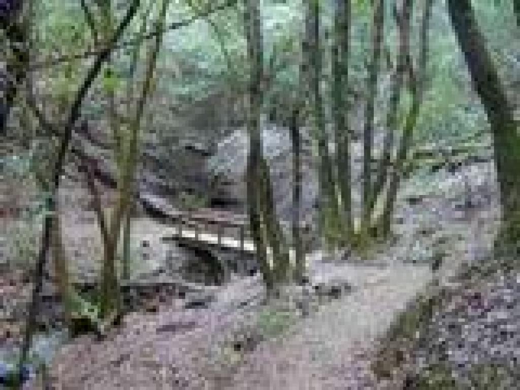 Bridge