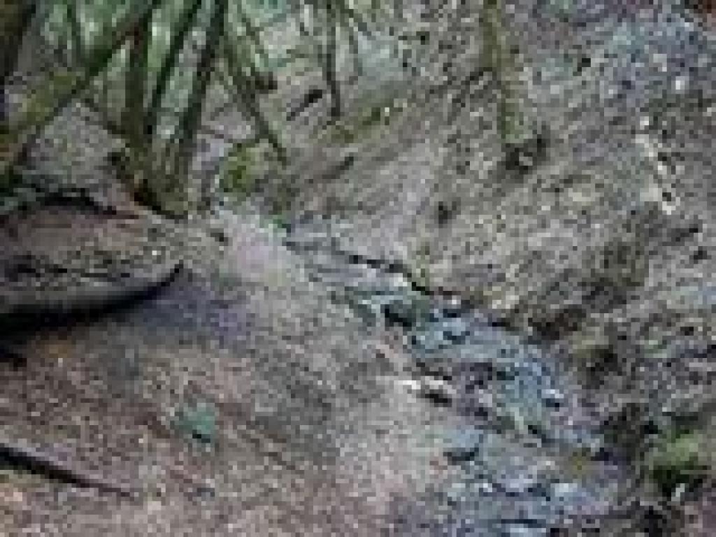 Creek