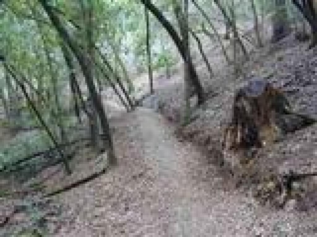 Uphill