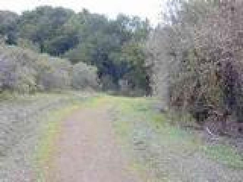 Orchard Loop Trail