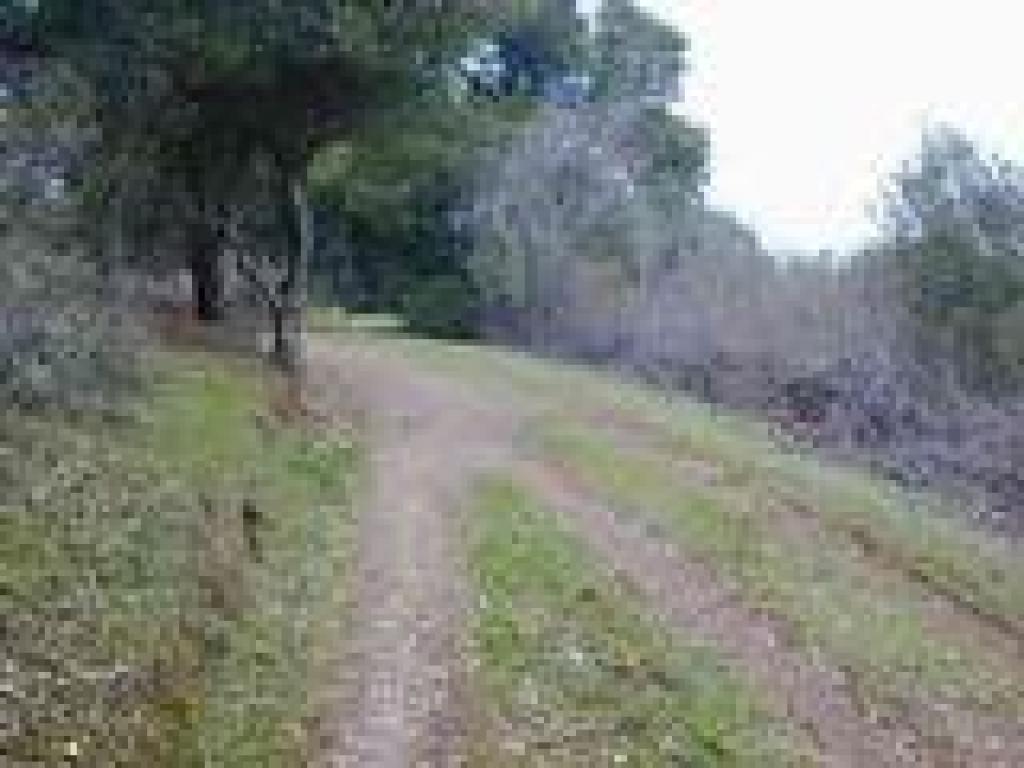 Rejoining the main trail