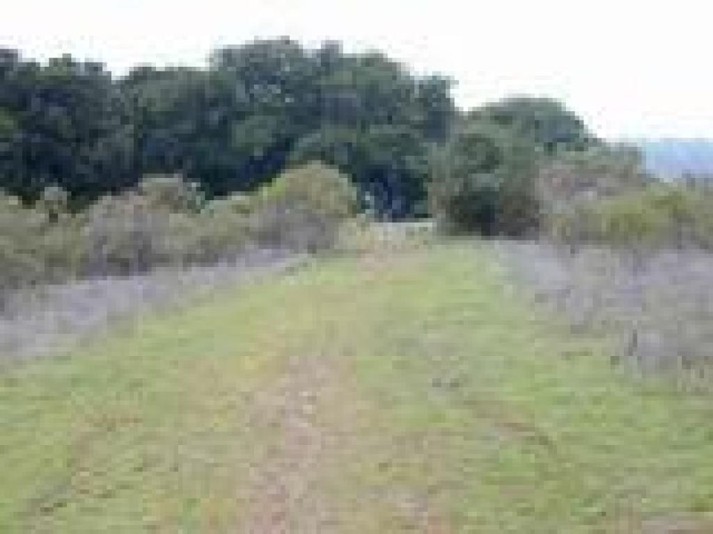 Path to viewpoint