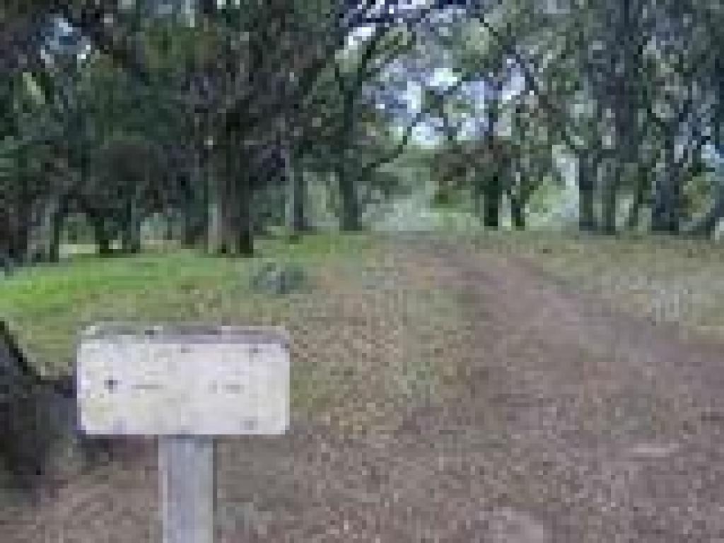 Trail continues to the pond