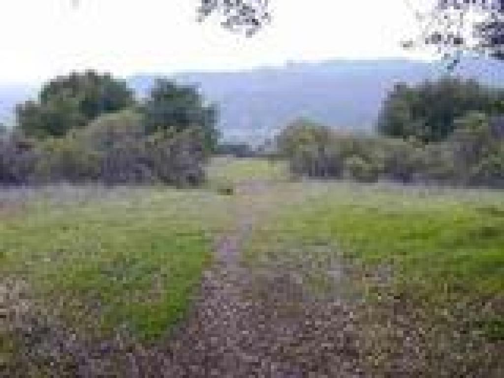 Returning to Orchard Loop Trail