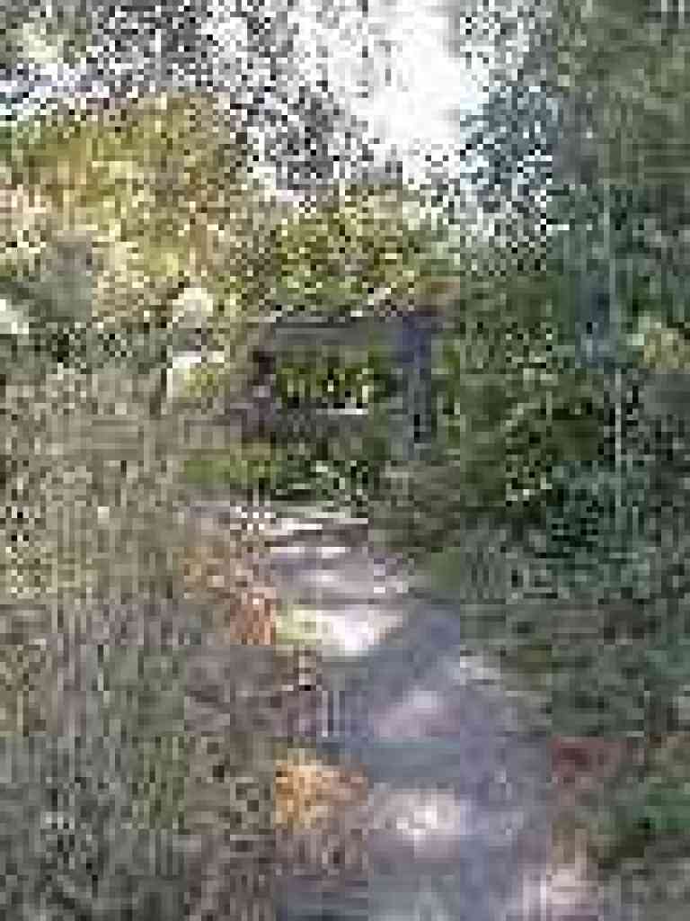 Bridge