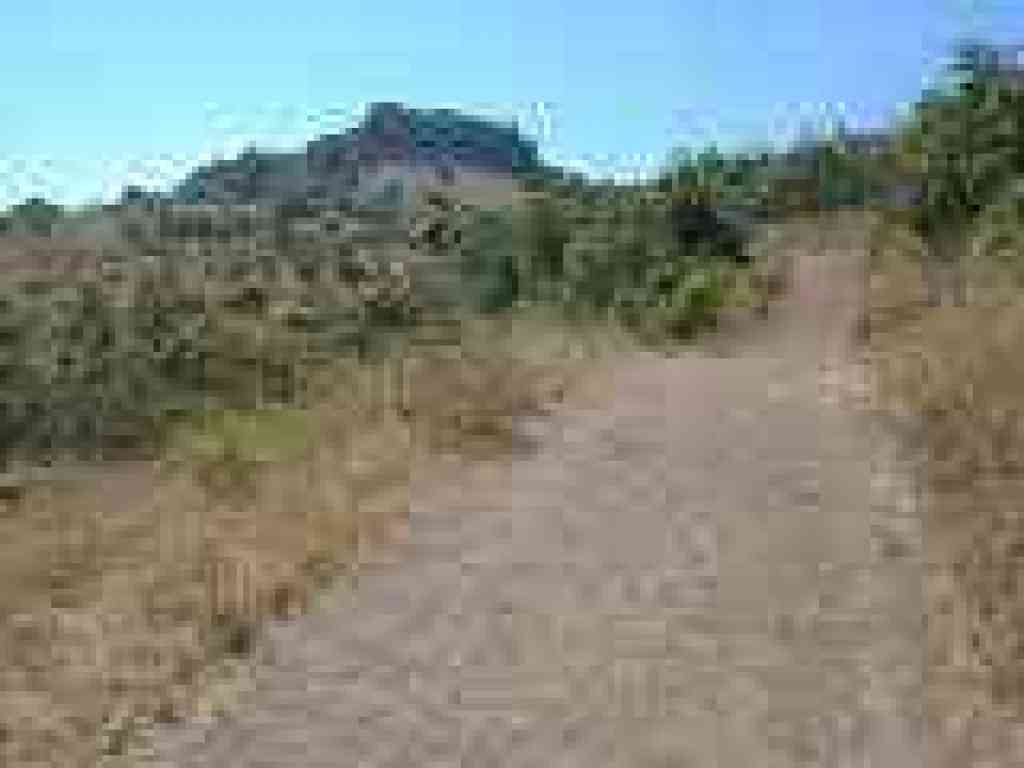 Zinfandel Trail