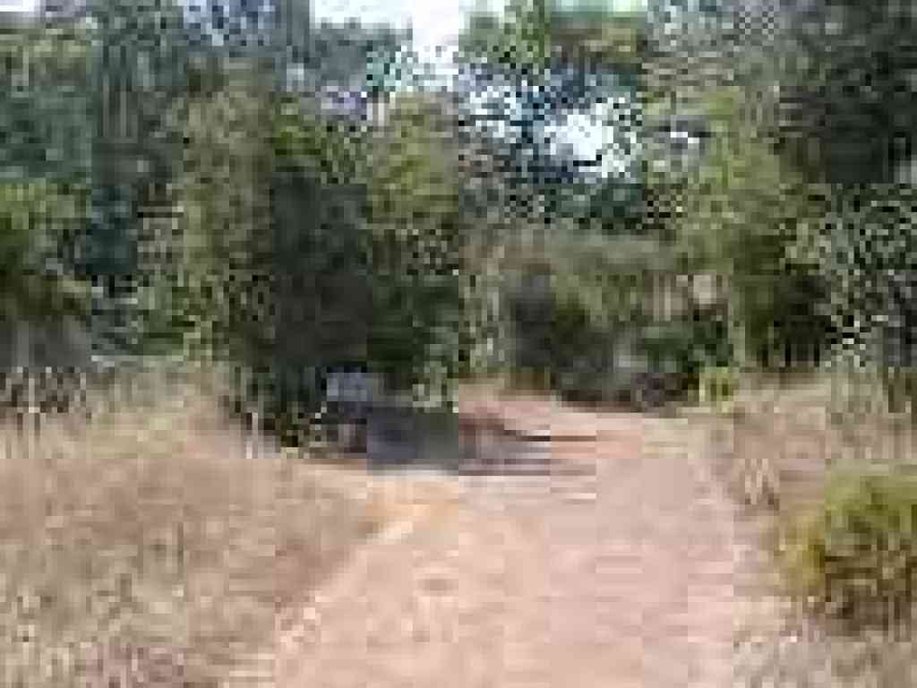 Junction