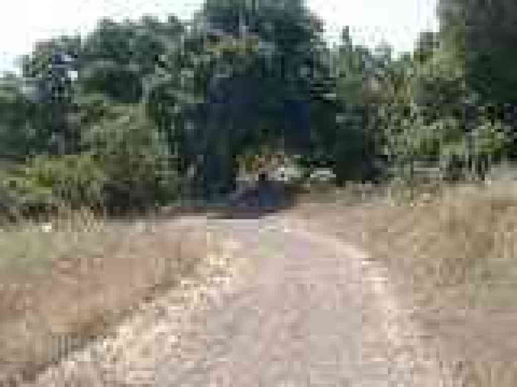 Approaching junction