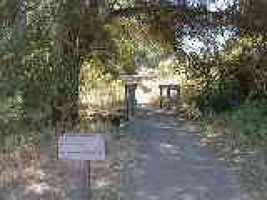 Junction