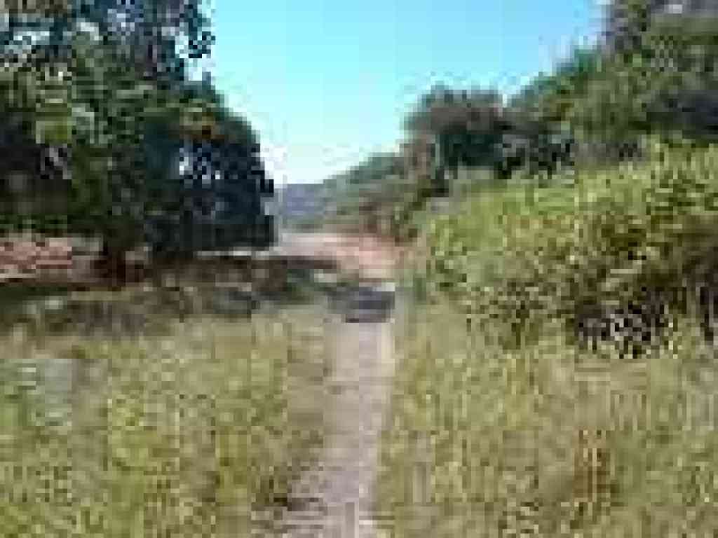 Zinfandel Trail