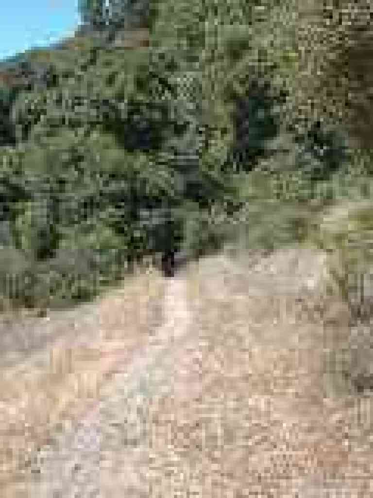 About to enter shade
