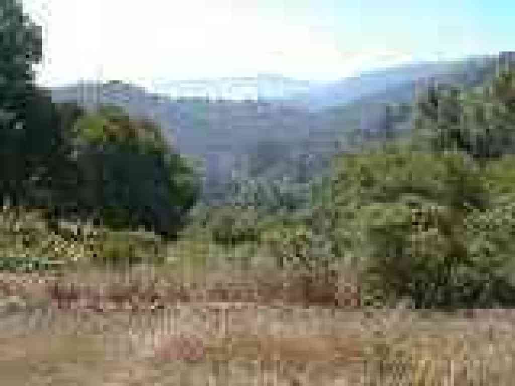 View south