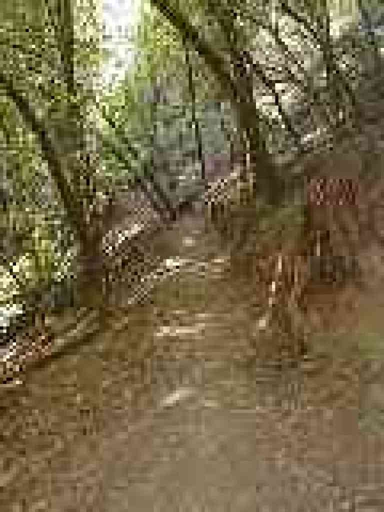 Uphill