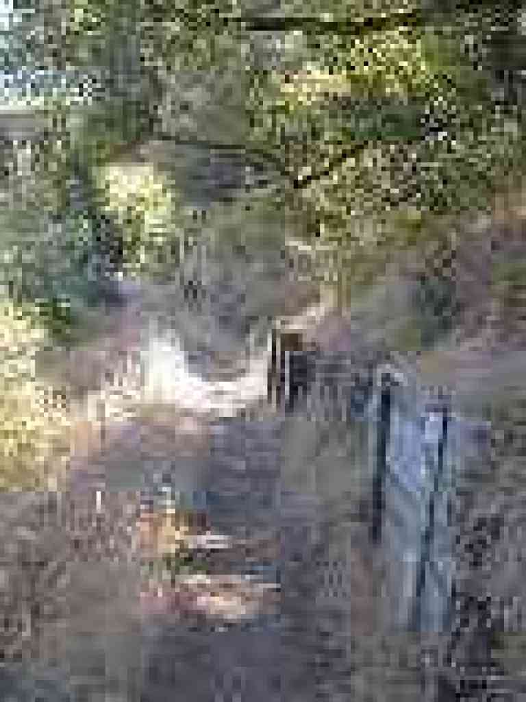 Back into chaparral