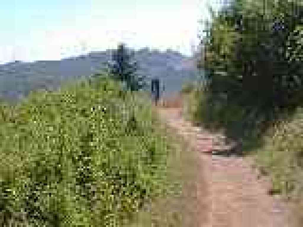 Approaching border with county park
