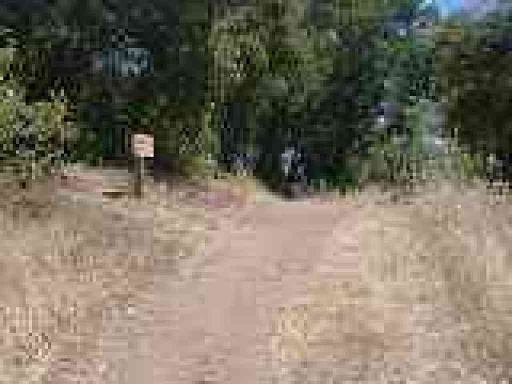 Junction with Bear Meadow Trail