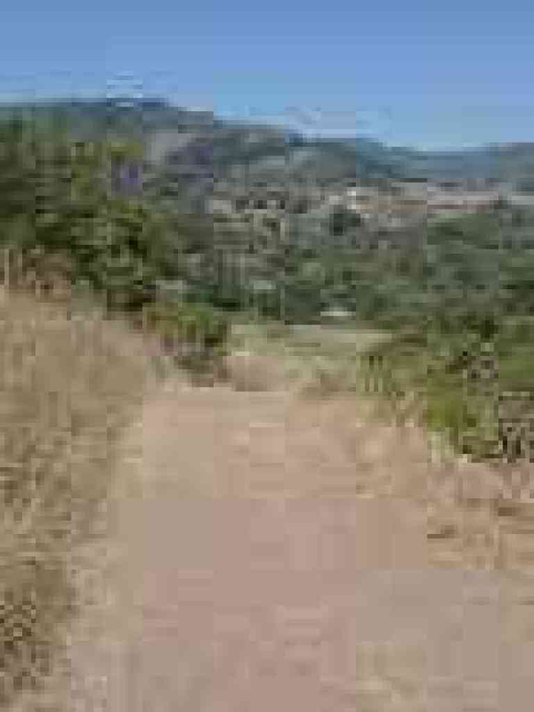 Descending