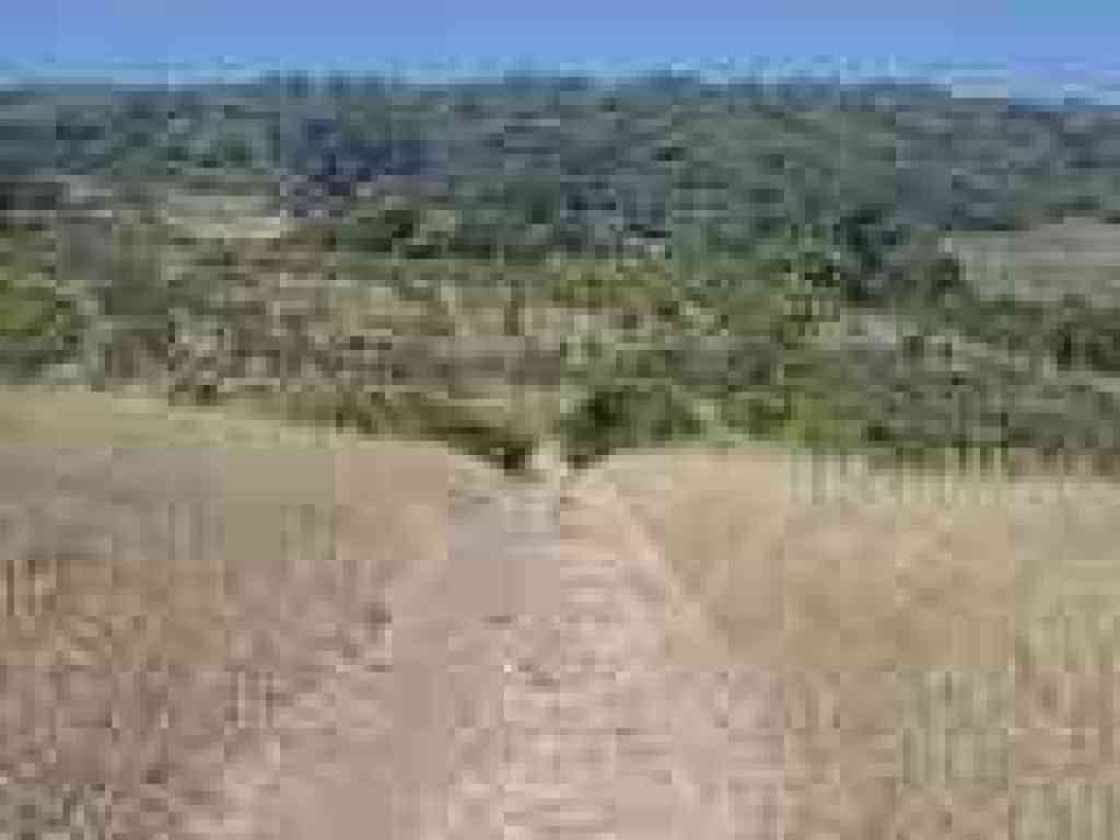 Orchard Loop Trail