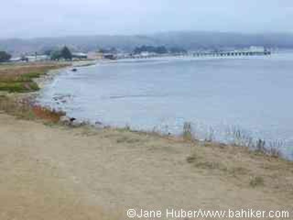 View of Pillar Point Harbor from the trail
