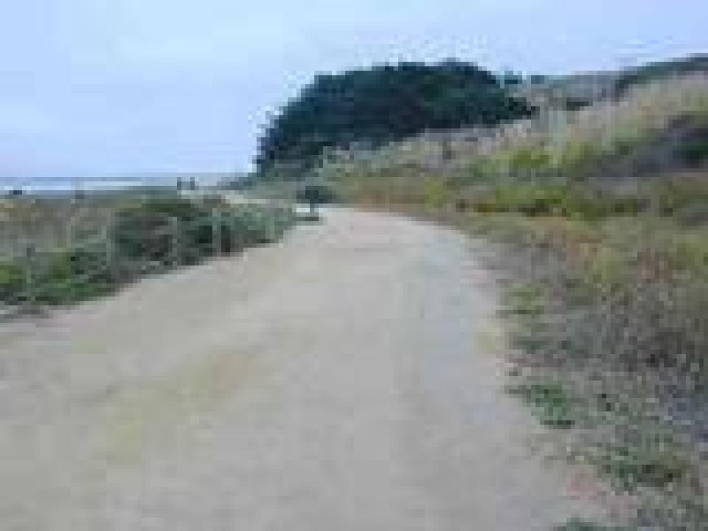Trail to Pillar Point