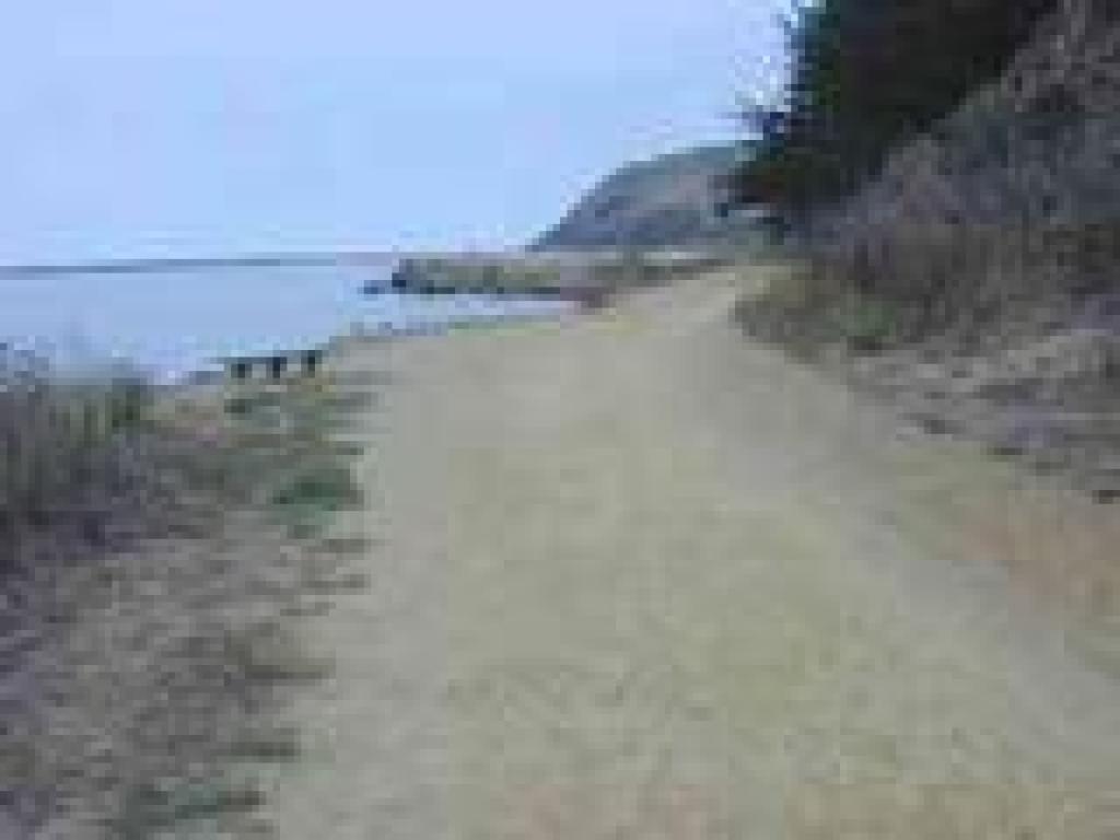 Along Pillar Point Harbor