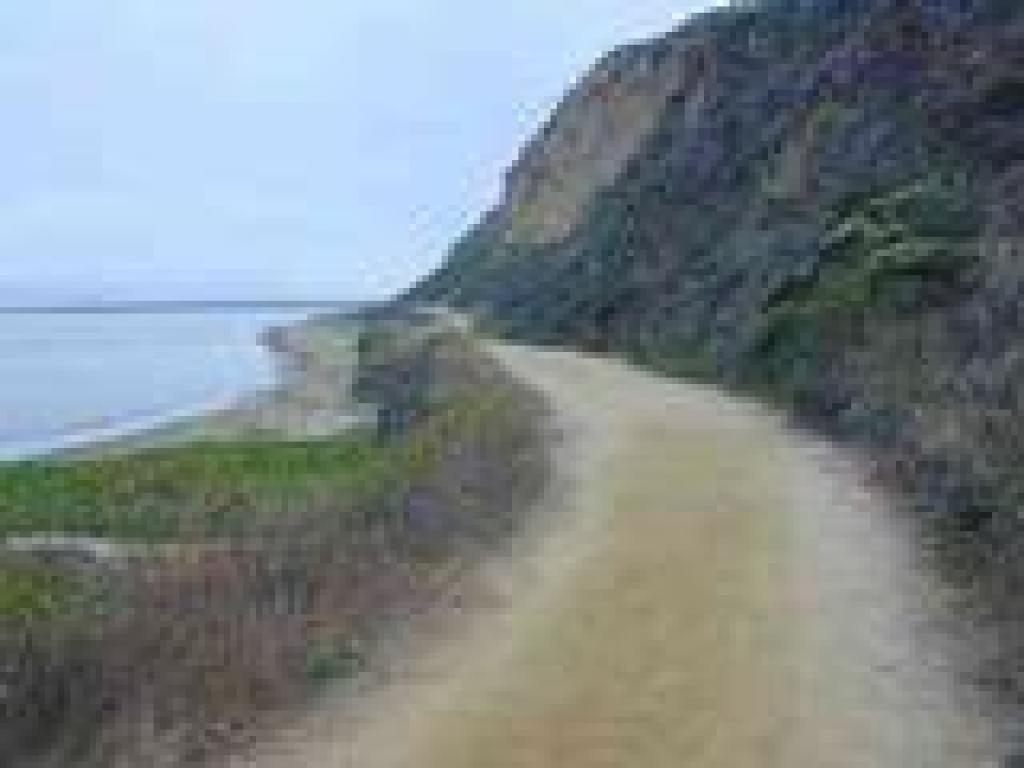Trail