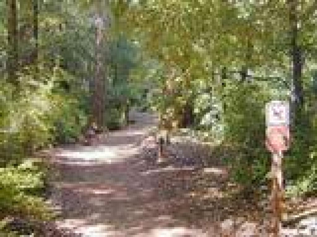 Sequoia Nature Trail