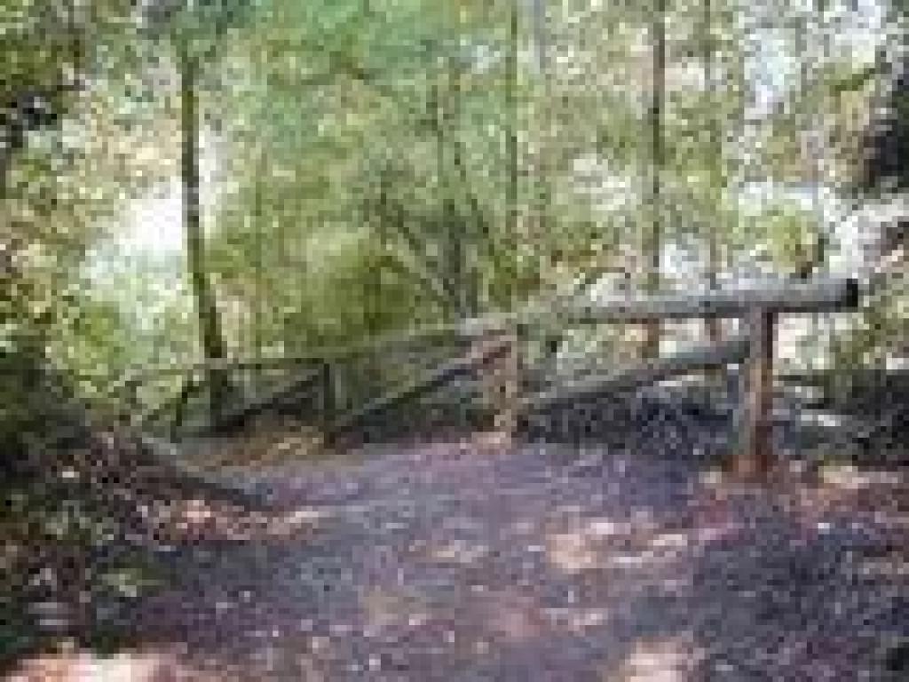 Steps